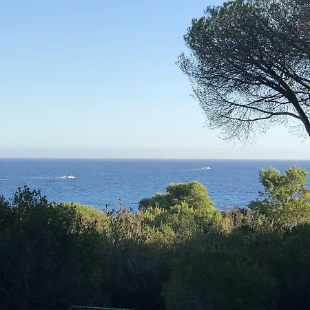 Bacio Di Sole
